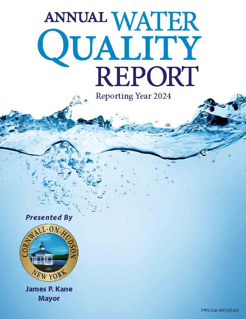 Annual Water Quality Report 2024